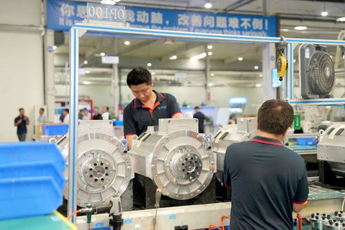 两新政策红利惠及生产企业，保税造借机遇再上新台阶