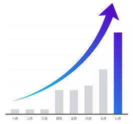 东莞逸飞 上线8个月销售趋势快速攀升，产品畅销美国35个州的数据分析